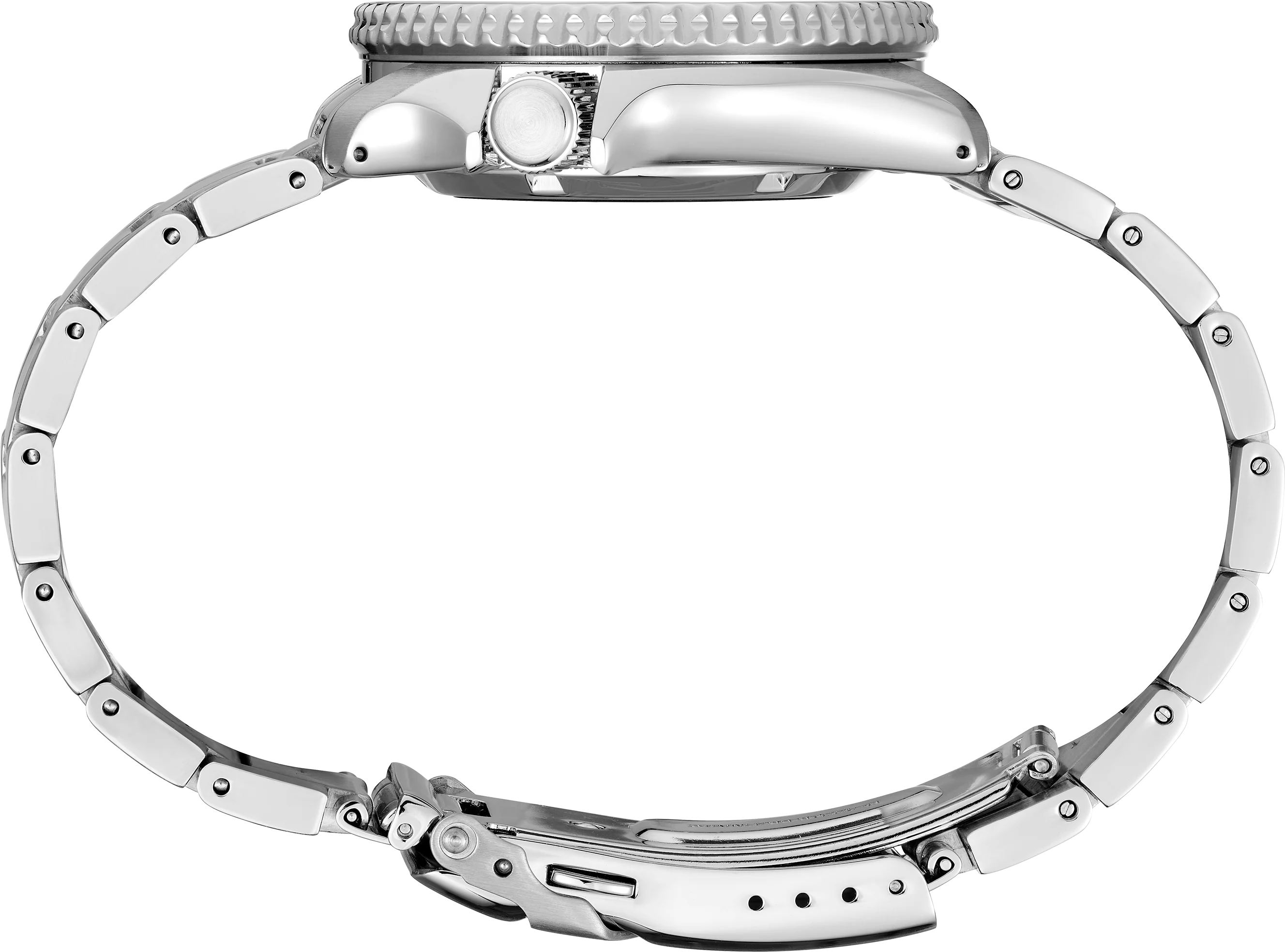 SRPK13 - Image 2