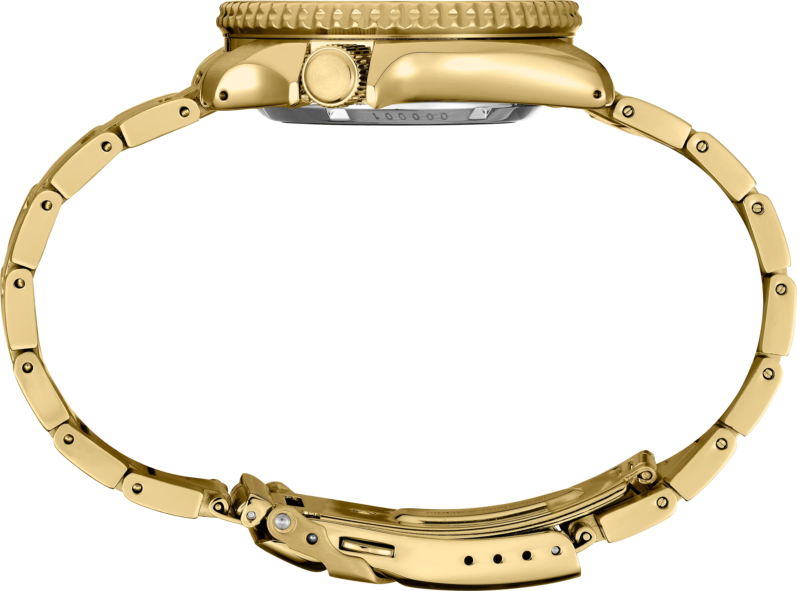 SRPK18 - Image 2